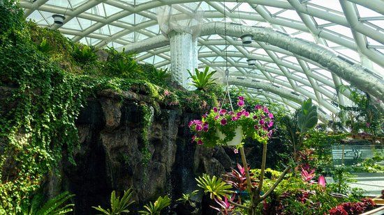 Konya Tropikal Kelebek Bahçesi